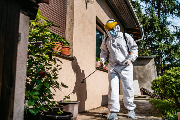 Reliable Rochester, IL Pest Control Solutions