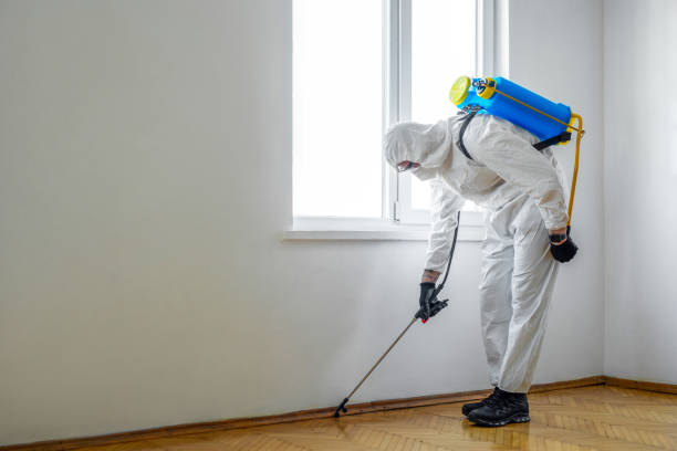 Best Local Pest Control Services  in Rochester, IL