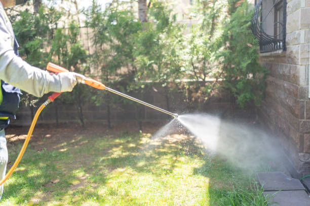 Best Exterminator Services  in Rochester, IL