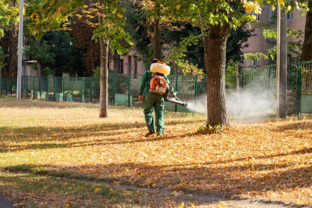 Pest Control for Restaurants in Rochester, IL