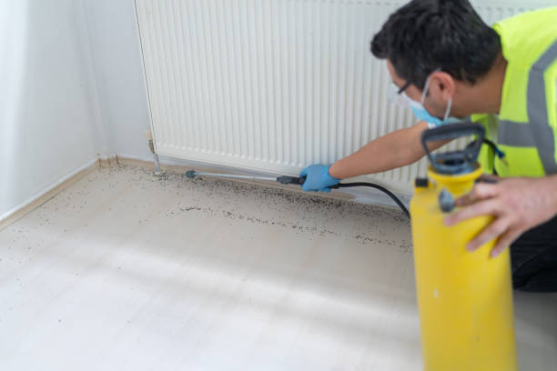 Best Pest Control for Homes  in Rochester, IL